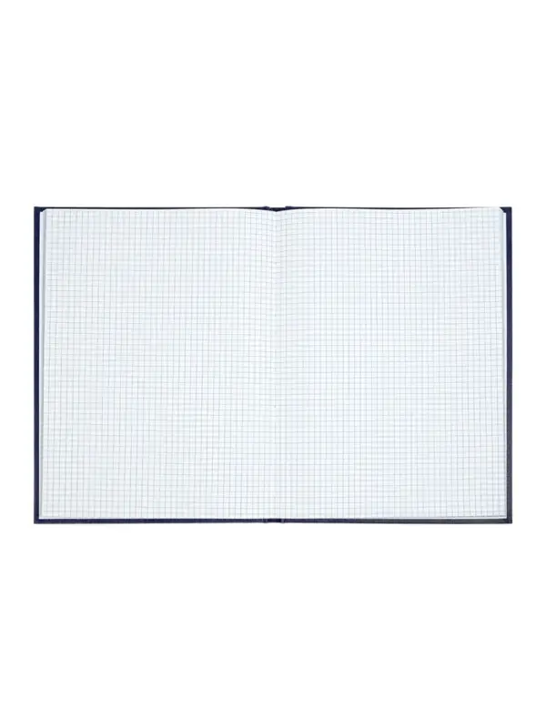 Книга учета А4, 144 листа, клетка, 200&times;290 мм, бумвинил, синий, блок офсетный