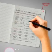 Комплект тетрадей из 10 штук, 24 листа в линию Calligrata &laquo;Fashion&raquo;, обложка мелованный картон, ВД-лак, блок №2, белизна 75% (серые листы), 5 видов по 2 штуки