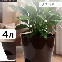 Горшок для цветов &laquo;Элеганс&raquo;, 4 л, d=22 см, h=20 см, пластиковый, с прикорневым поливом, цвет шоколад