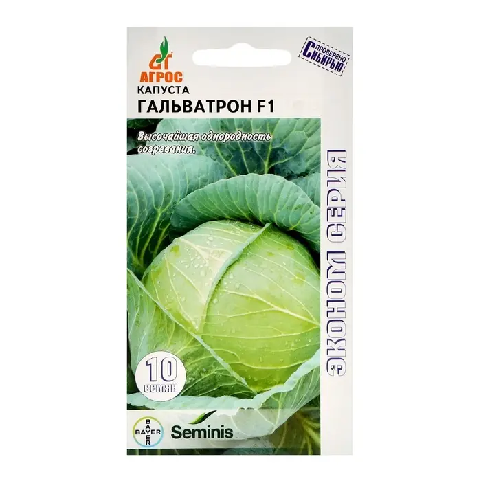 Семена Капуста б/к Семена Капуста б/к"Гальватрон"F1 10шт* ЭКОНОМ