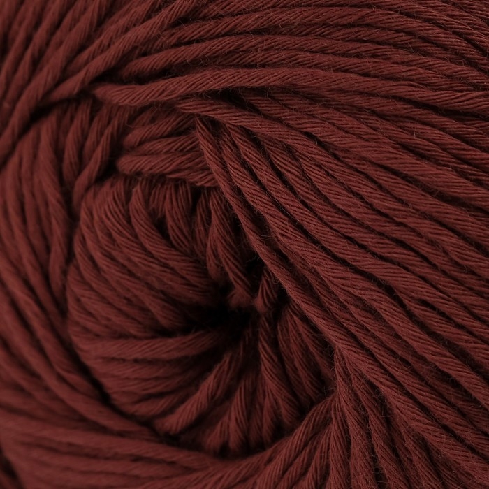 Пряжа Пряжа "Bouquet Unicolor" 100% хлопок 200м/100г (3209 коричневый)
