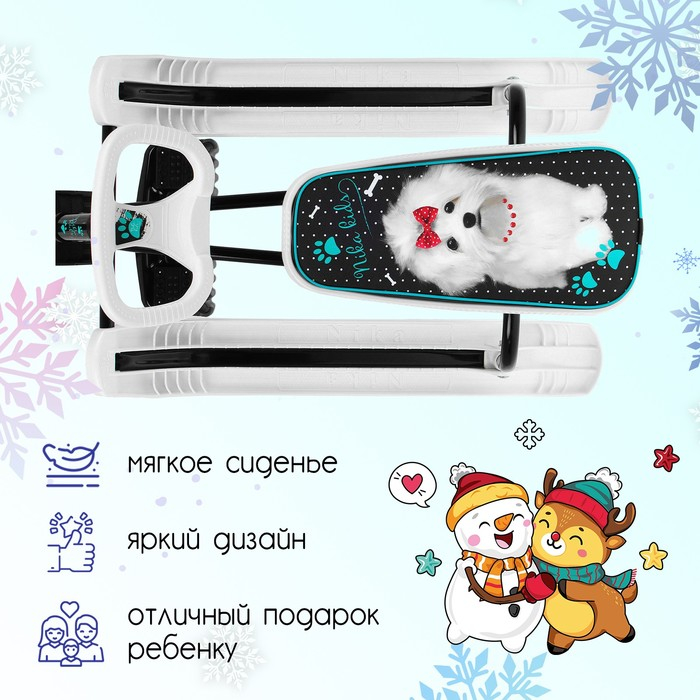 Снегокат «Тимка Спорт 2 + Болонка», ТС2+/БЛ, цвет белый/чёрный Снегокат «Тимка Спорт 2 + Болонка», ТС2+/БЛ, цвет белый/чёрный