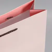 Пакет подарочный "Весёлый енотик" 33 х 42,5 х 10 см