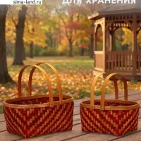 Корзина плетёная для хранения, с ручкой, лоза, красно-коричневая, набор 2 шт.