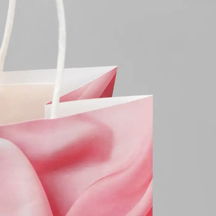 Пакет подарочный крафтовый, упаковка, «Мечты», 22 х 25 х 12 см Пакет подарочный крафтовый, упаковка, «Мечты», 22 х 25 х 12 см