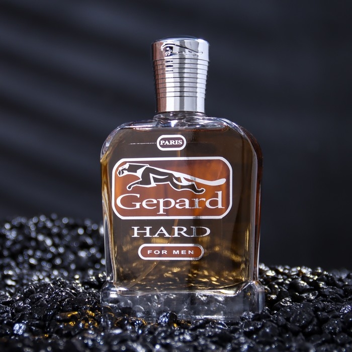 Туалетная вода мужская GEPARD HARD мужская, 95 мл Туалетная вода мужская GEPARD HARD мужская, 95 мл