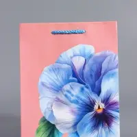 Пакет подарочный ламинированный, &laquo;Взгляд фиалки&raquo;, нежно розовый, 18&times;22.3&times;10 см