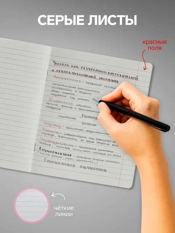 Комплект тетрадей из 10 штук, 24 листа в линию Calligrata &laquo;Fashion&raquo;, обложка мелованный картон, ВД-лак, блок №2, белизна 75% (серые листы), 5 видов по 2 штуки