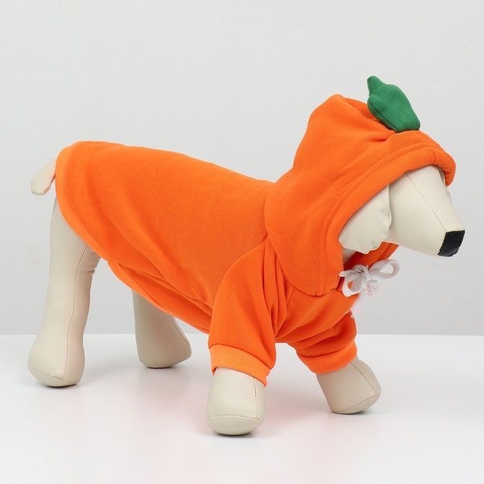 Толстовка Толстовка "Любимая морковка", размер S (ДС 25, ОГ 38см)