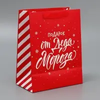 Набор новогодних пакетов «Новогодний подарок» Набор новогодних пакетов «Новогодний подарок»