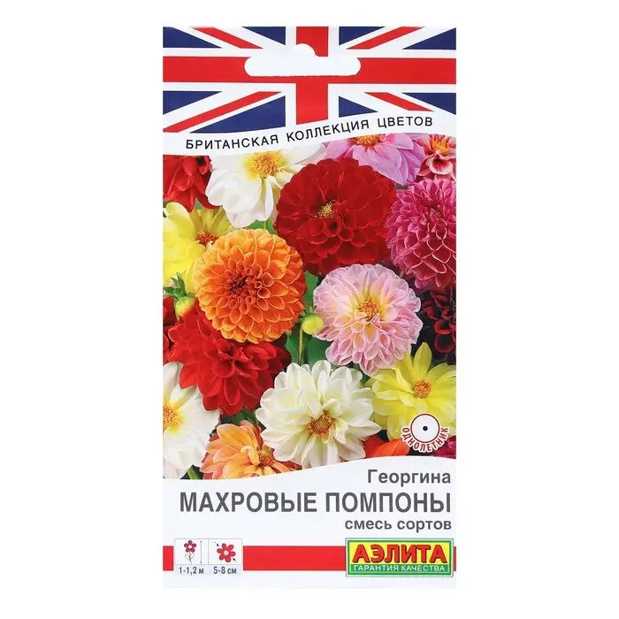 Семена Цветов Георгина  Семена Цветов Георгина "Махровые помпоны", смесь сортов, 0,2 г
