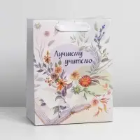 Пакет подарочный ламинированный, упаковка, «Поздравляю», MS 18 х 23 х 10 см