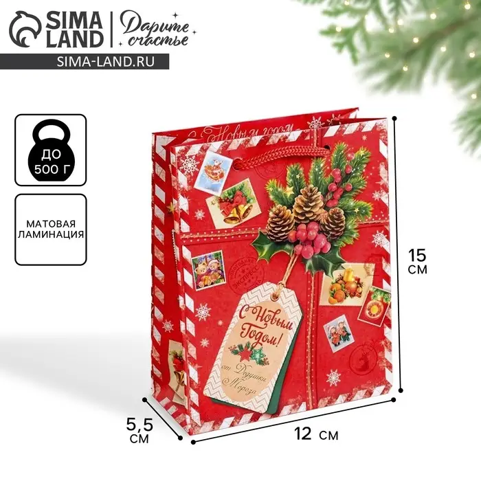 Пакет подарочный новогодний ламинированный «Подарок от Деда Мороза», 12 х 15 х 5.5 см