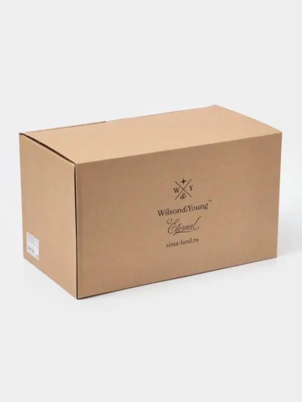 Чайный сервиз WY Eternal, 20 предметов, чайник 1 л, 6 кружек 250 мл, 6 блюдец, 6 тарелок пирожковых, фарфор