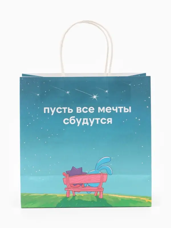 Пакет подарочный &laquo;Мечты сбываются&raquo;, Смешарики, 22&times;22&times;11 см