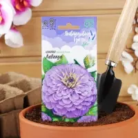 Семена цветов Цинния Лаванда "Лавандовые грёзы", ц/п, 0,5 г Семена цветов Цинния Лаванда "Лавандовые грёзы", ц/п, 0,5 г