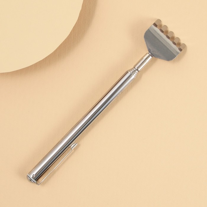 Чесалка для спины «Это твой подарок», 23,5 см см Чесалка для спины «Это твой подарок», 23,5 см см