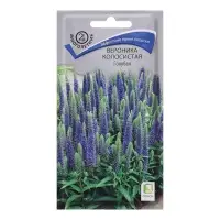 Семена цветов Вероника колосистая "Голубая", 0,1гр. Семена цветов Вероника колосистая "Голубая", 0,1гр.