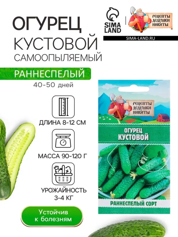 Семена Огурец "Кустовой", 0,5 г