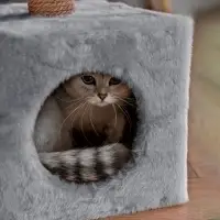 Домик для животных с когтеточкой, 32&times;32&times;64 см, с полкой, джут, серый