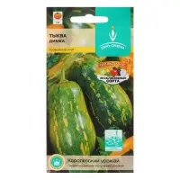 Семена Тыква Димка цв/п 10шт, раннеспелая, цилиндрическая, мякоть светло-оранжевая, массой д Семена Тыква Димка цв/п 10шт, раннеспелая, цилиндрическая, мякоть светло-оранжевая, массой д