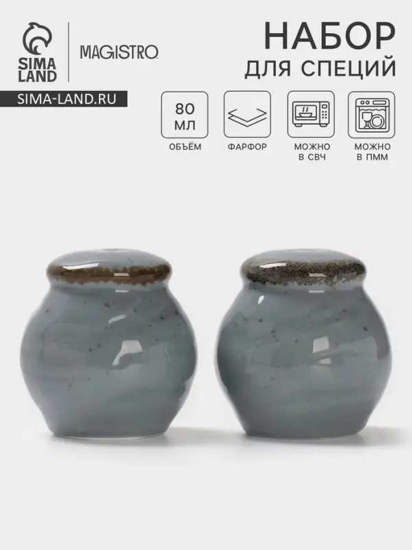 Набор для специй Magistro Alpine Frost, 2 предмета: перечница, солонка, 80 мл, 5&times;6 см, фарфор, голубовато-серый