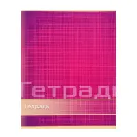 Тетрадь 48 листов в линейку Calligrata «Цвет и графика», обложка мелованная бумага, блок №2, белизна 75% (серые листы), МИКС