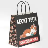 Пакет подарочный новогодний &laquo;Рожа&raquo;, 22 х 22 х 11 см