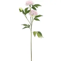 Цветы искусственные &laquo;Пион Беверли люкс&raquo;, h=60 см, светло-розовые