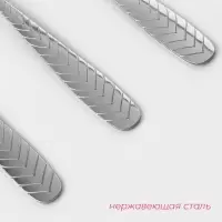 Ложки столовые Доляна &laquo;Колосок&raquo;, длина 20.5 см, толщина 2 мм, набор 6 шт., нержавеющая сталь, серебристые