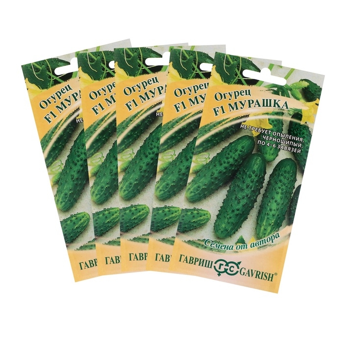 Семена Огурец Мурашка F1, корнишон, скороспелый, партенокарпический, набор 5 шт
