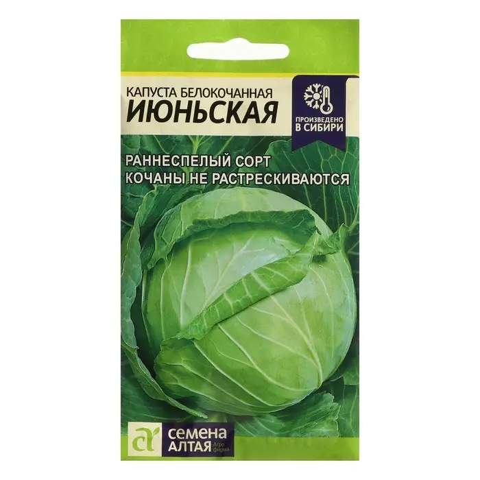 Семена Капуста белокочанная &laquo;Июньская&raquo;, 0.5 г, &laquo;Семена Алтая&raquo;