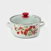 Набор Астры-1-Экстра (белая)Россия