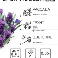Семена цветов Лаванда &laquo;Пурпурный колос&raquo;, узколистная, 5 шт., &laquo;Семена Алтая&raquo;