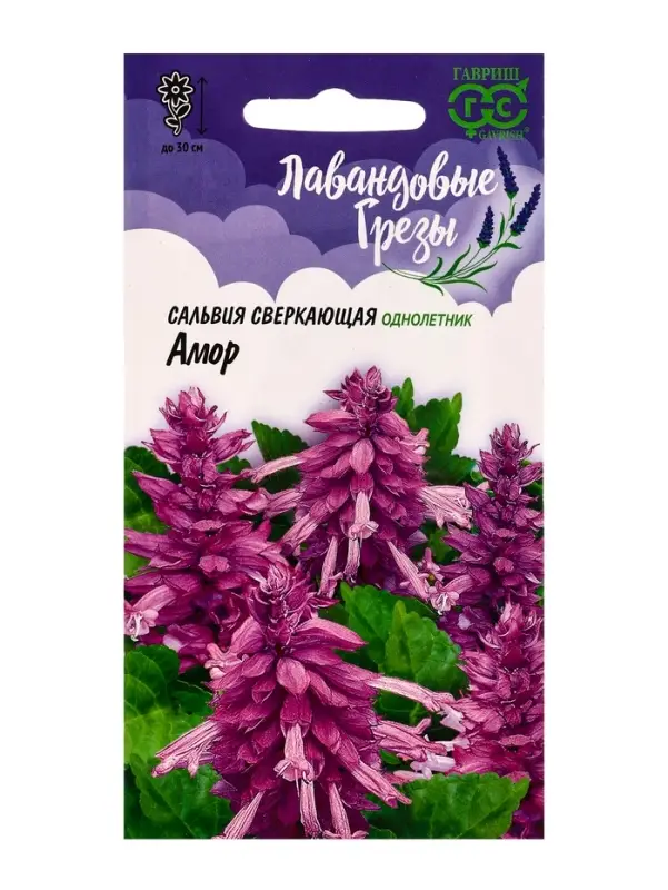 Семена цветов Сальвия Амор*  4 шт. серия Лавандовые грёзы