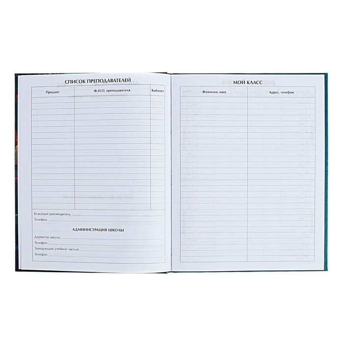 Дневник для 5-11 классов Дневник для 5-11 классов "Аниме. Девушка", твёрдая обложка, глянцевая ламинация, 48 листов