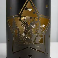 Фигурка светящаяся RISALUX &laquo;Ночные звёзды&raquo;, LED-ночник, 3&times;ААА, чёрный, 12&times;12&times;20.5 см