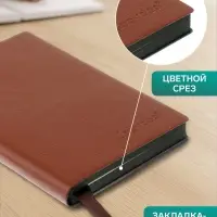 Ежедневник недатированный А6, 116 листов в клетку, тонированный срез, обложка ЛАЙТ, МИКС