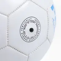 Футбольный мяч ONLYTOP &laquo;Россия&raquo;, машинная сшивка, 32 панели, р. 5, PVC