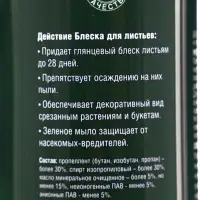 Блеск для листьев &laquo;Бона Форте&raquo;, для растений с жесткой листовой пластиной 300 мл