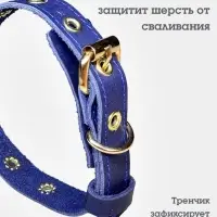 Ошейник безразмерный, 40&times;2 см, с подпряжником, кожа, синий