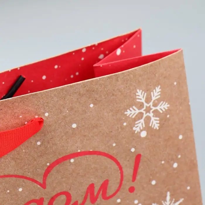 Пакет подарочный новогодний крафтовый «Милый дракон», M 30 х 26 х 9 см Пакет подарочный новогодний крафтовый «Милый дракон», M 30 х 26 х 9 см