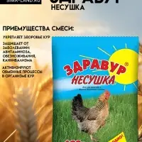 Премикс Здравур &laquo;Несушка&raquo; для кур и домашней птицы, минеральная добавка, 600 г