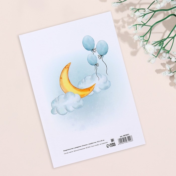 Папка под свидетельство о рождении Папка под свидетельство о рождении "Слоник" голубой тон, А5