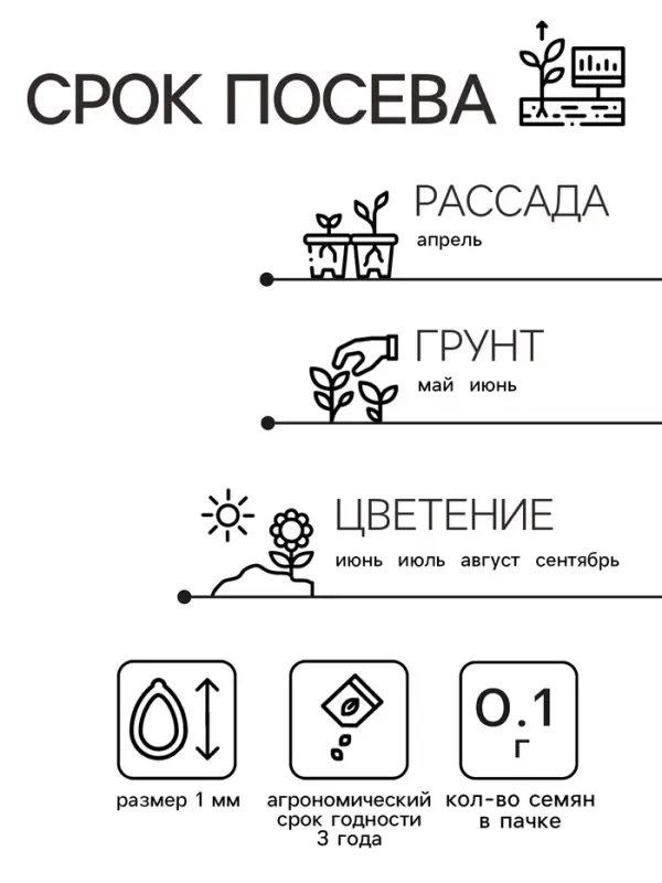 Семена  цветов Портулак махровый  Семена  цветов Портулак махровый "Веселый хоровод", смесь окрасок, О, 0,1 г