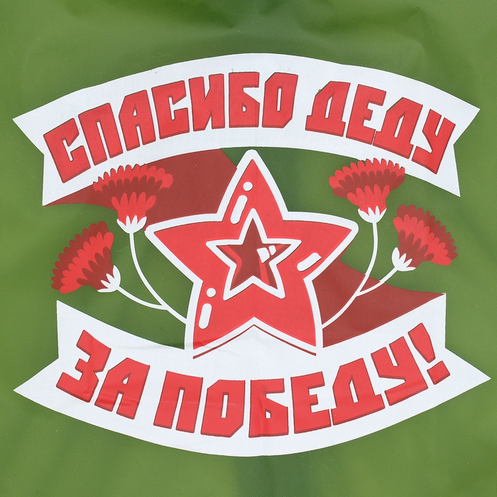 Карнавальный набор «С днём победы!», рост 104-152 см, дождевик, флажок Карнавальный набор «С днём победы!», рост 104-152 см, дождевик, флажок