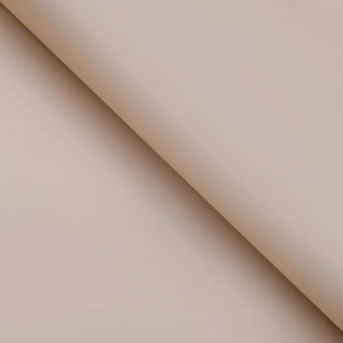 Пленка флористическая, 58 х 58 см, 50 мкм Пленка флористическая, 58 х 58 см, 50 мкм