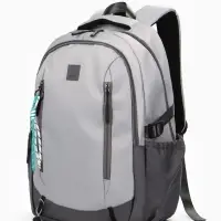 Рюкзак школьный, 2 отделения, 5 карманов, 33&times;17&times;47 см, серый