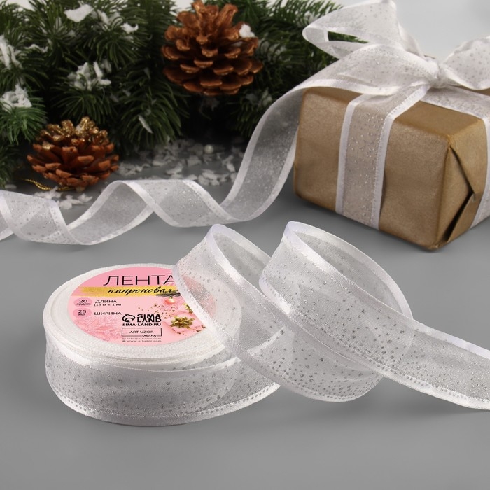 Лента капроновая «Блёстки», 25 мм × 18 ± 1 м, цвет серебряный Лента капроновая «Блёстки», 25 мм × 18 ± 1 м, цвет серебряный