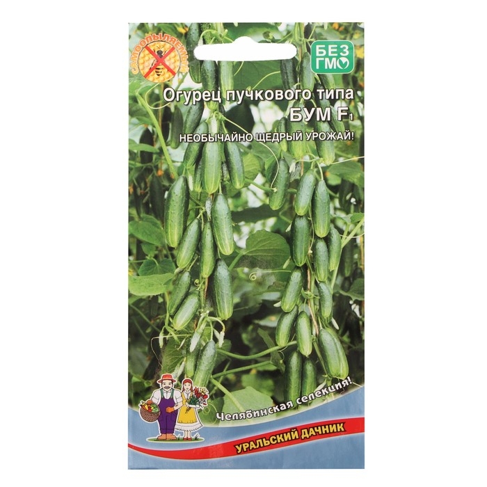 Семена огурца Семена огурца "Бум", F1, 5 шт.
